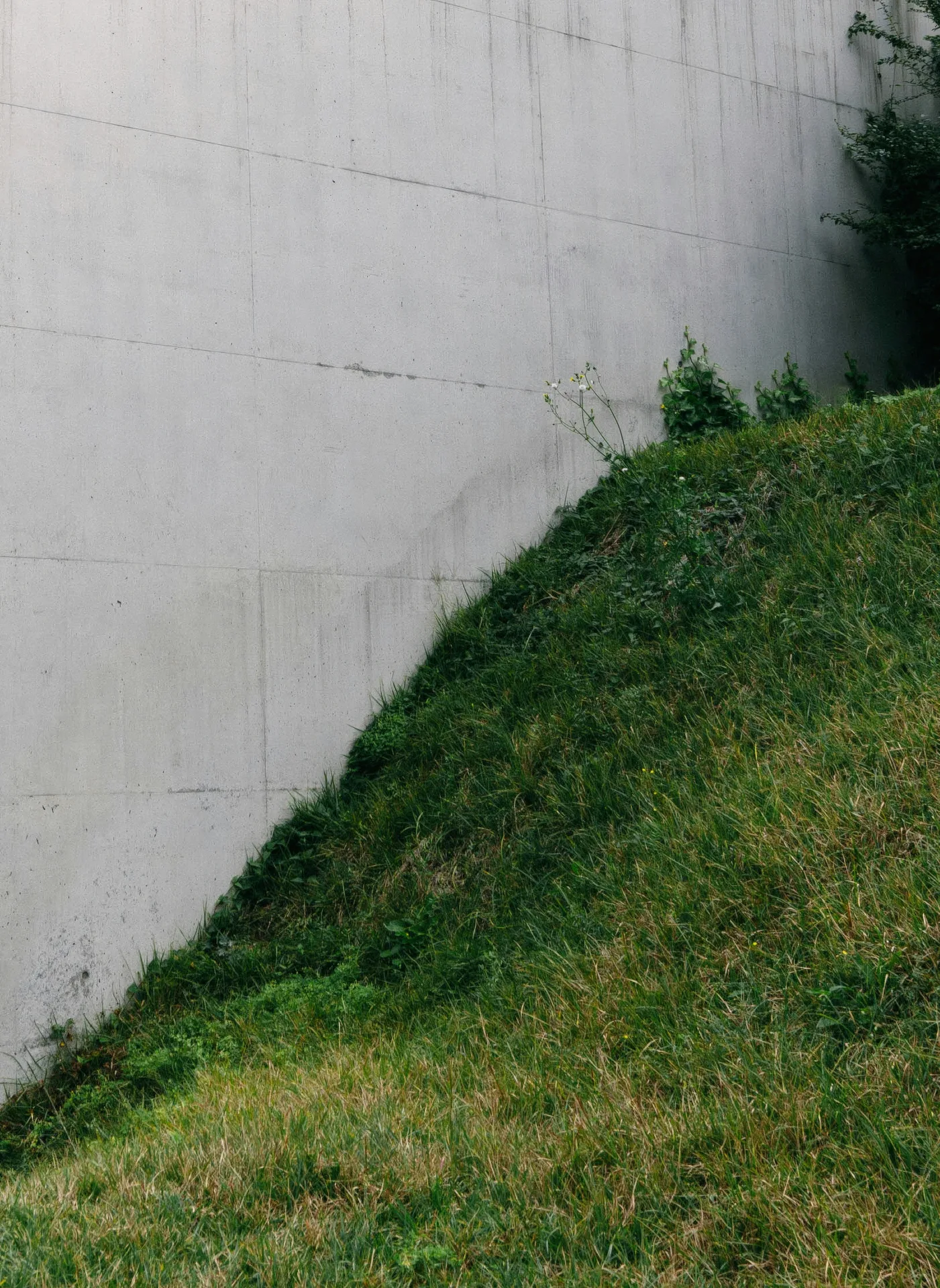 poured concrete retaining wall formed with rebar at a Portland home